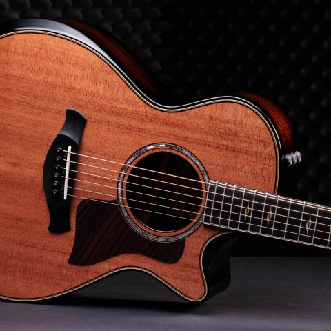 50th Anniversary Builder's Edition 812ce LTD