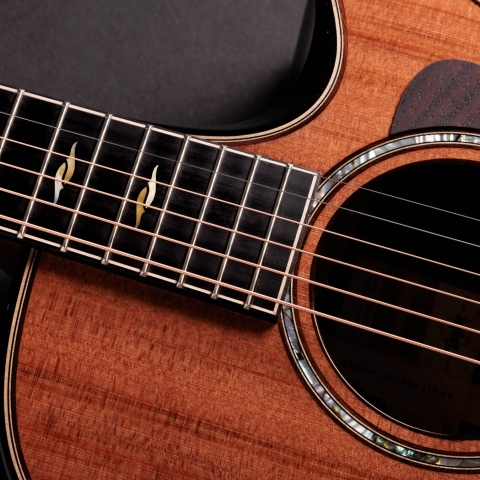 50th Anniversary Builder's Edition 812ce LTD
