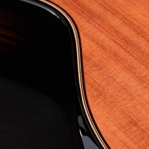 50th Anniversary Builder's Edition 812ce LTD