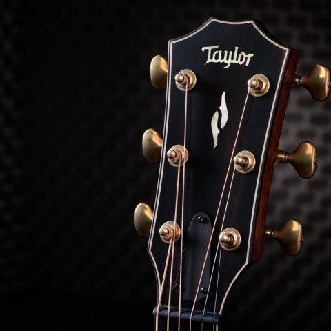 50th Anniversary Builder's Edition 812ce LTD