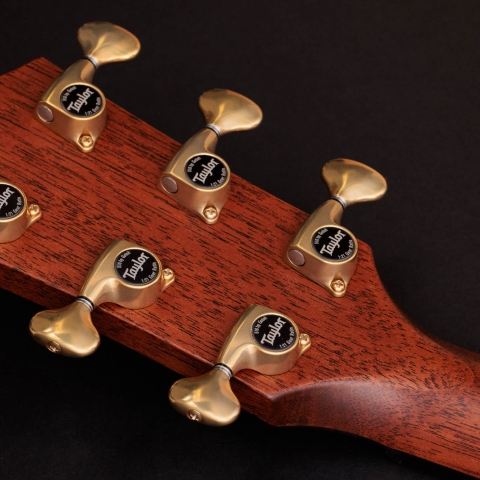 50th Anniversary Builder's Edition 812ce LTD