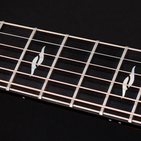 50th Anniversary Builder's Edition 812ce LTD