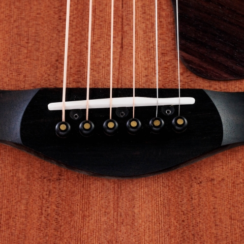 50th Anniversary Builder's Edition 812ce LTD