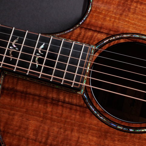 50th Anniversary 924ce-K LTD & Circa 74 Amp