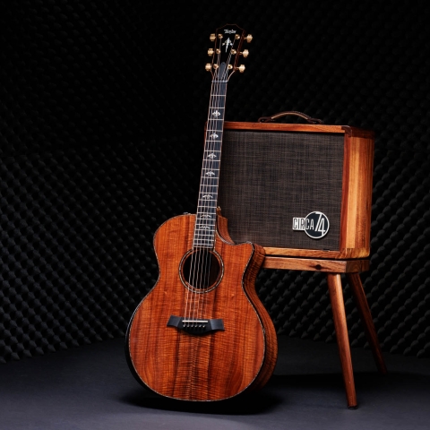 50th Anniversary 924ce-K LTD & Circa 74 Amp