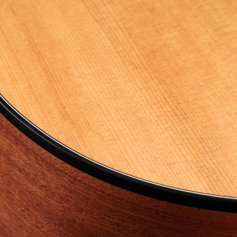 Taylor 110e Walnut Sunburst 税込販売価格 ￥109,725- 新品