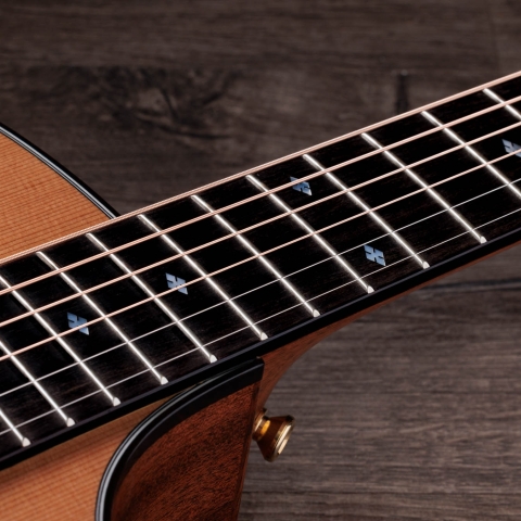 2024年の新アコースティックギター | Taylor Guitars