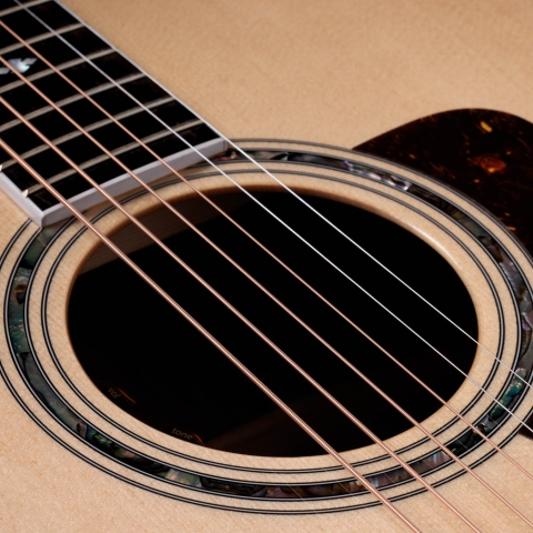 2024年の新アコースティックギター | Taylor Guitars