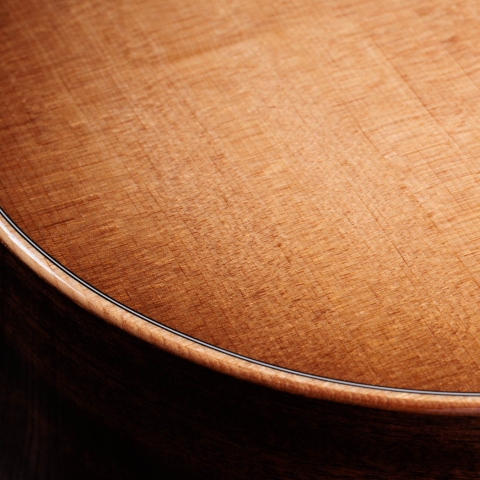 アコースティックギター | Taylor Guitars