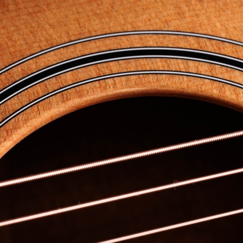 早いもの勝ちです　テイラー110 高感度マイク内蔵　エレアコ　新ハードケース アコースティックギター | Taylor Guitars