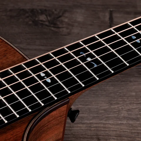 700 Series アコースティックギター | Taylor Guitars