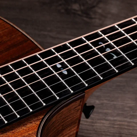 テイラー　ギター TAYLOR Custom GC Mahogany/ Adirondack spruce [NAMM 2025 Model C12e