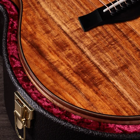 700 Series アコースティックギター | Taylor Guitars