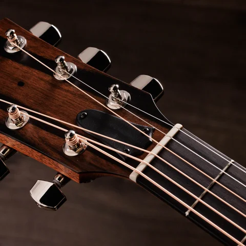 2024年の新アコースティックギター | Taylor Guitars