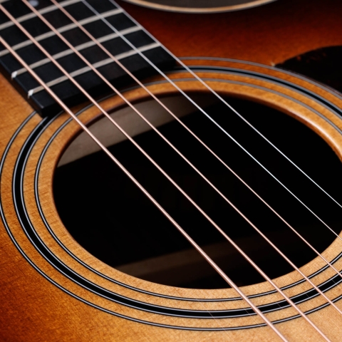 400 Series Acoustic Guitars | Taylor Guitars 400 Series Acoustic Guitars | Taylor Guitars