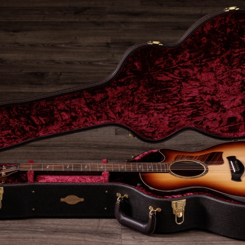 Builder's Edition 814ce Honduran Rosewood/Adirondack Spruce