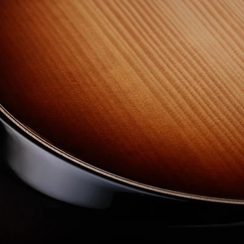 Builder's Edition 814ce Honduran Rosewood/Adirondack Spruce