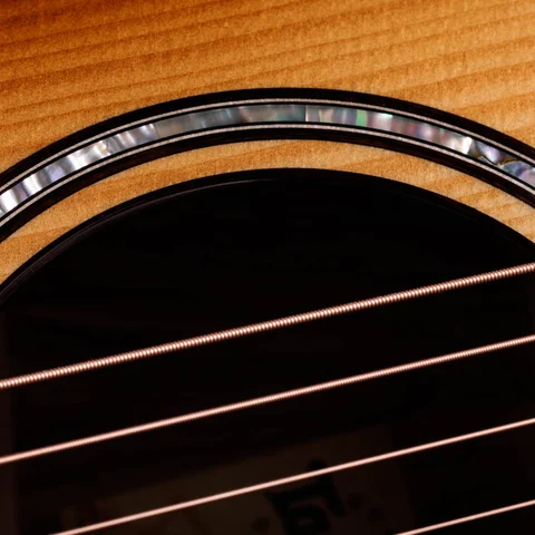 Builder's Edition 814ce Honduran Rosewood/Adirondack Spruce