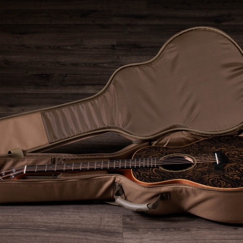 GS Mini-e Special Edition, Paisley Burst