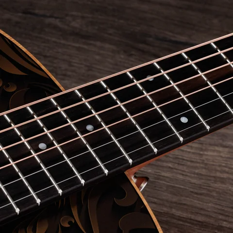 GS Mini-e Special Edition, Paisley Burst