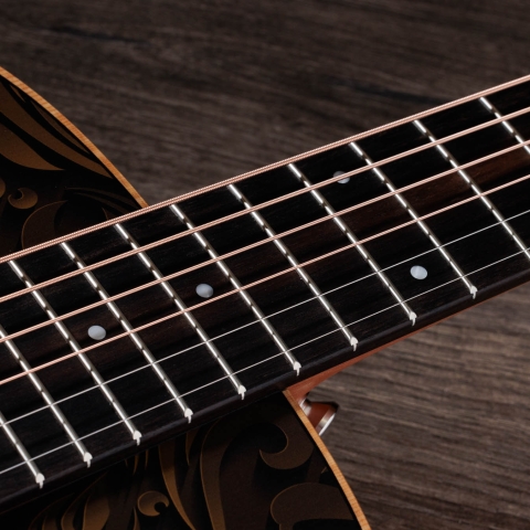 GS Mini-e Special Edition, Paisley Burst