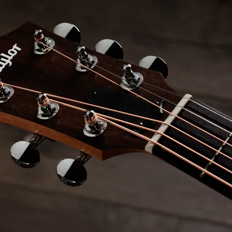 GS Mini-e Special Edition, Paisley Burst