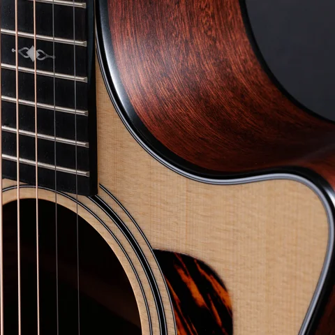 アコースティックギター300シリーズ | Taylor Guitars