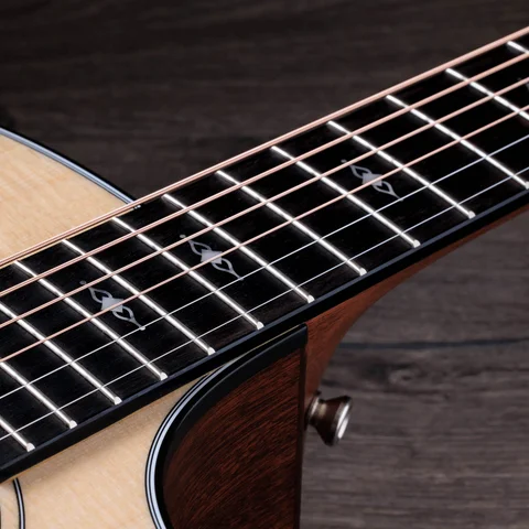 アコースティックギター300シリーズ | Taylor Guitars