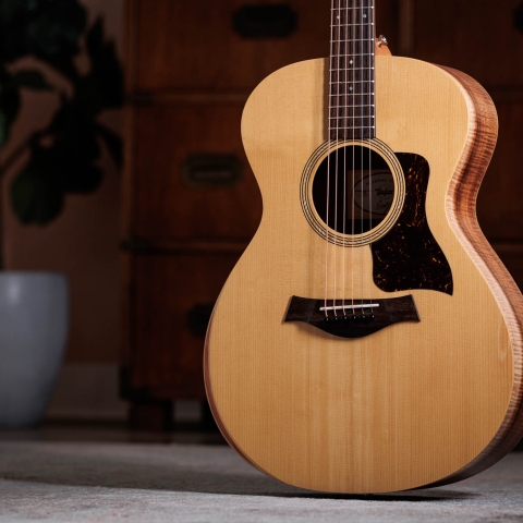 Academy 12e LTD