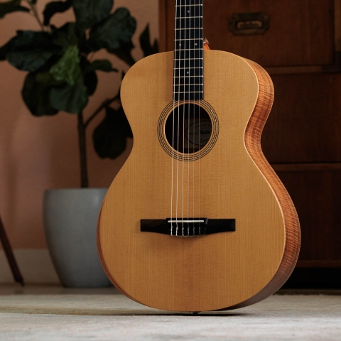 Academy 12e-N LTD