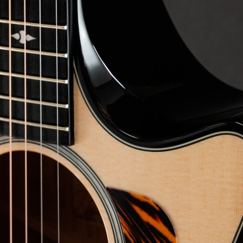 500 Series Acoustic Guitars | Taylor Guitars