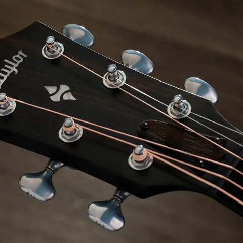 アコースティックギター500シリーズ | Taylor Guitars