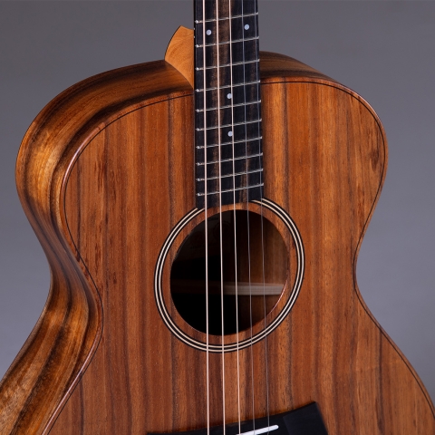 Jacob Collier Signature Model 5-String