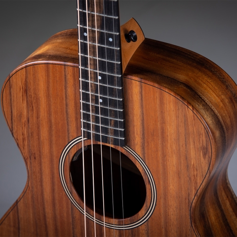 Jacob Collier Signature Model 5-String