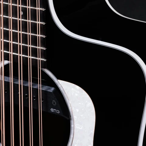 250ce Plus BLK Bajo Quinto