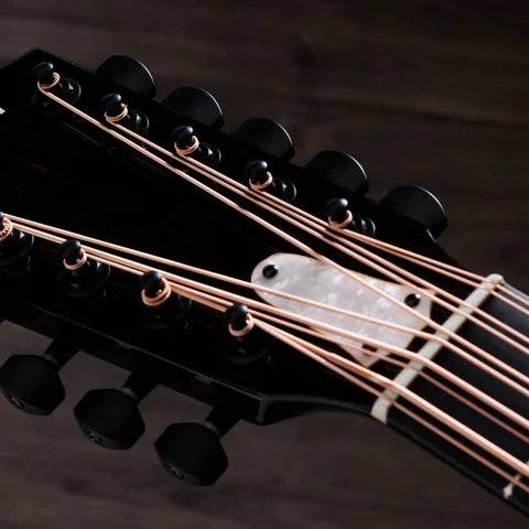 250ce Plus BLK Bajo Quinto