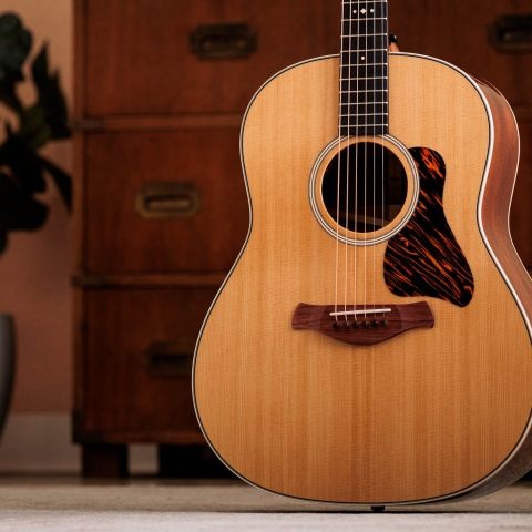 Gold Label 517e