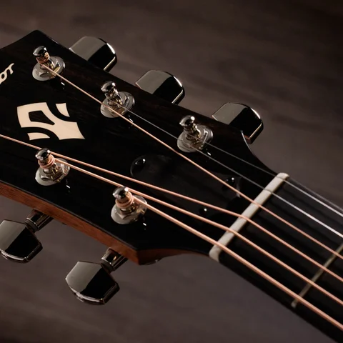 Gold Label Collection | Taylor Guitars