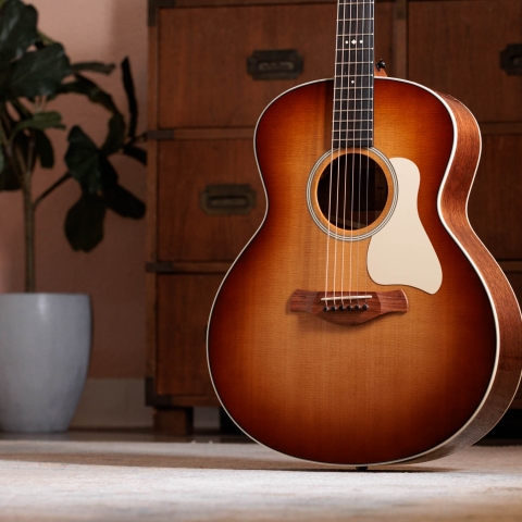 New Acoustic Guitars for 2024 | Taylor Guitars