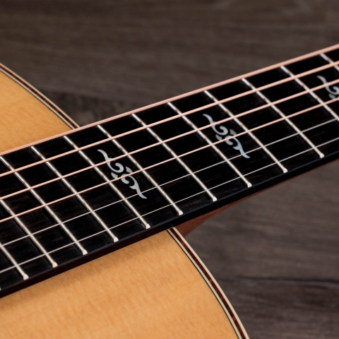 2024年の新アコースティックギター | Taylor Guitars