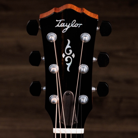 2024年の新アコースティックギター | Taylor Guitars