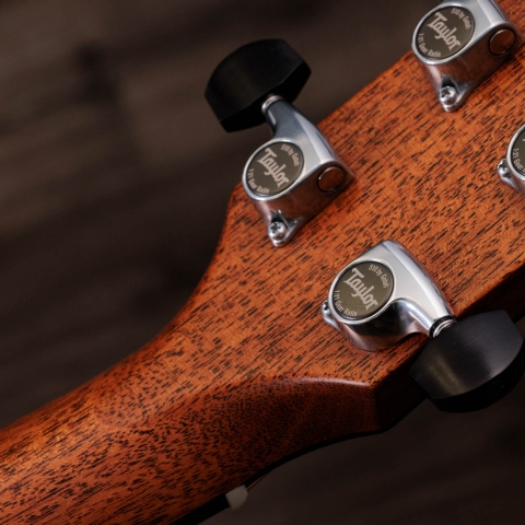 【大特価セール-8/31】Taylor Gsmint アコースティックギター 50th 614ce - Floating PNG (1).