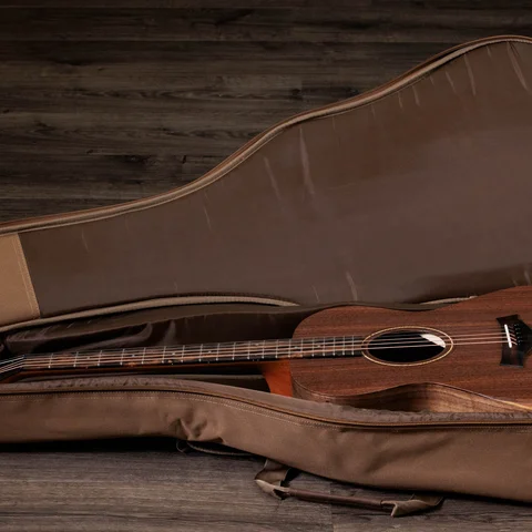 Jacob Collier Academy 22e 5-String 