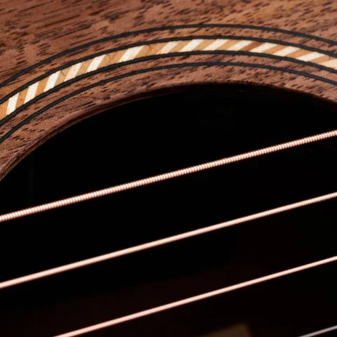 Jacob Collier Academy 22e 5-String 