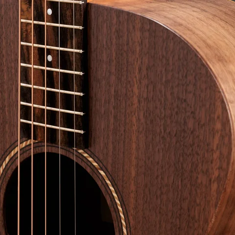 Jacob Collier Academy 22e 5-String 