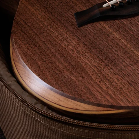 Jacob Collier Academy 22e 5-String 