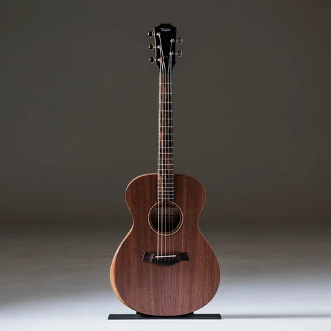 Jacob Collier Academy 22e 5-String 