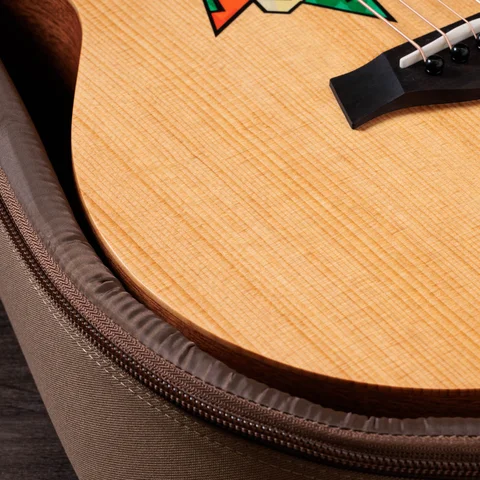 Jacob Collier GS Mini 5-String