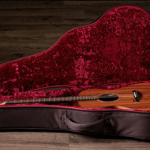 Jacob Collier Signature Model 5-String