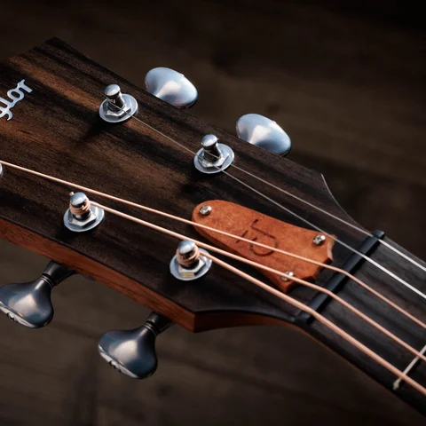 Jacob Collier Signature Model 5-String